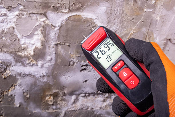 Best Commercial Mold Remediation in Warwick, RI