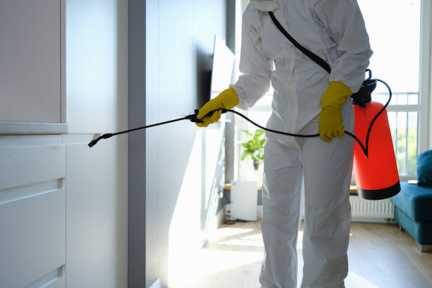Best Health and Safety Mold Remediation in Warwick, RI